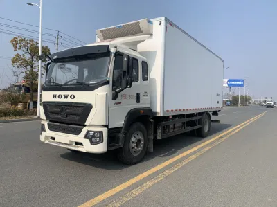 Trasportatore refrigerato 45 del congelatore di vendita diretta della fabbrica di HOWO Sinotruk 4× 2 220HP